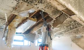 London, CA Mold Remediation Company